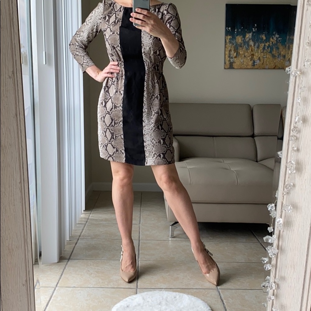 💖 5 for $25 💖 ZARA 🐍 Print Dress - Picture 2 of 8